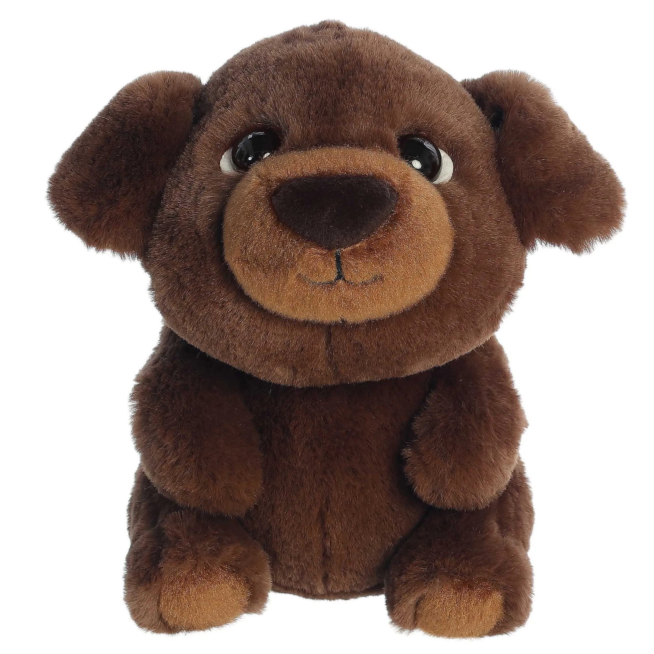 Aurora® - Boop - 9" Chip
