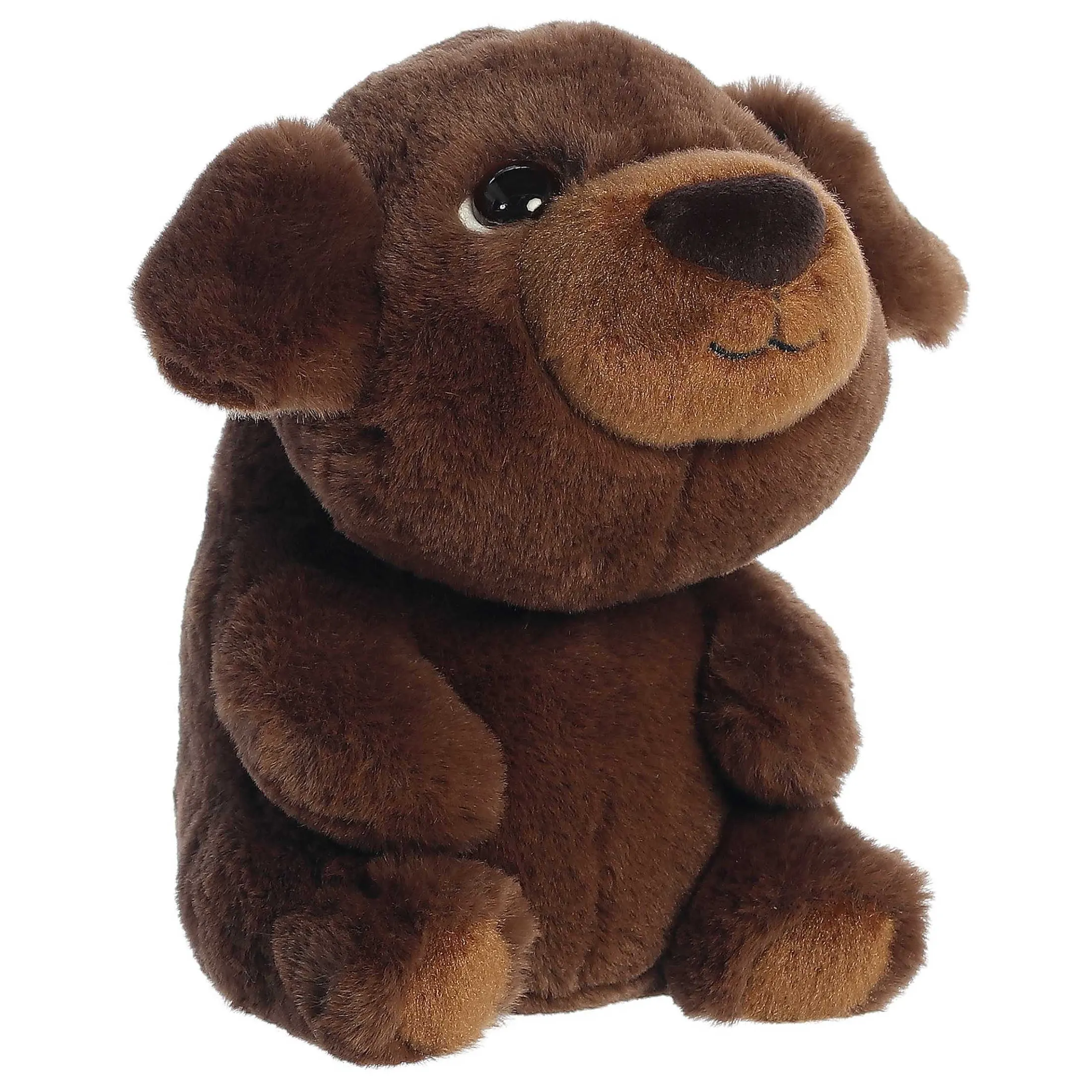 Aurora® - Boop - 9" Chip