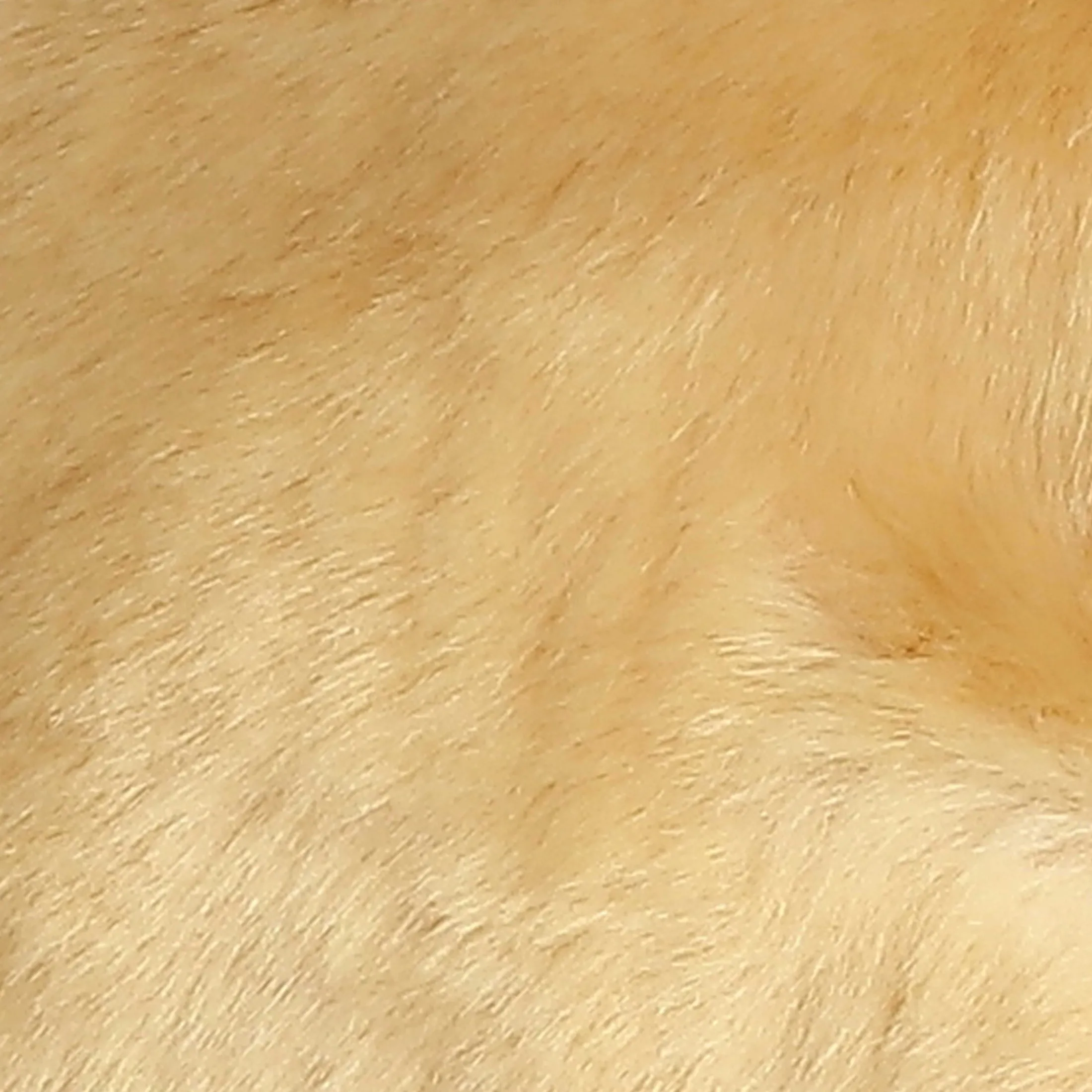 Aurora® - Miyoni® - Lop Eared Rabbit