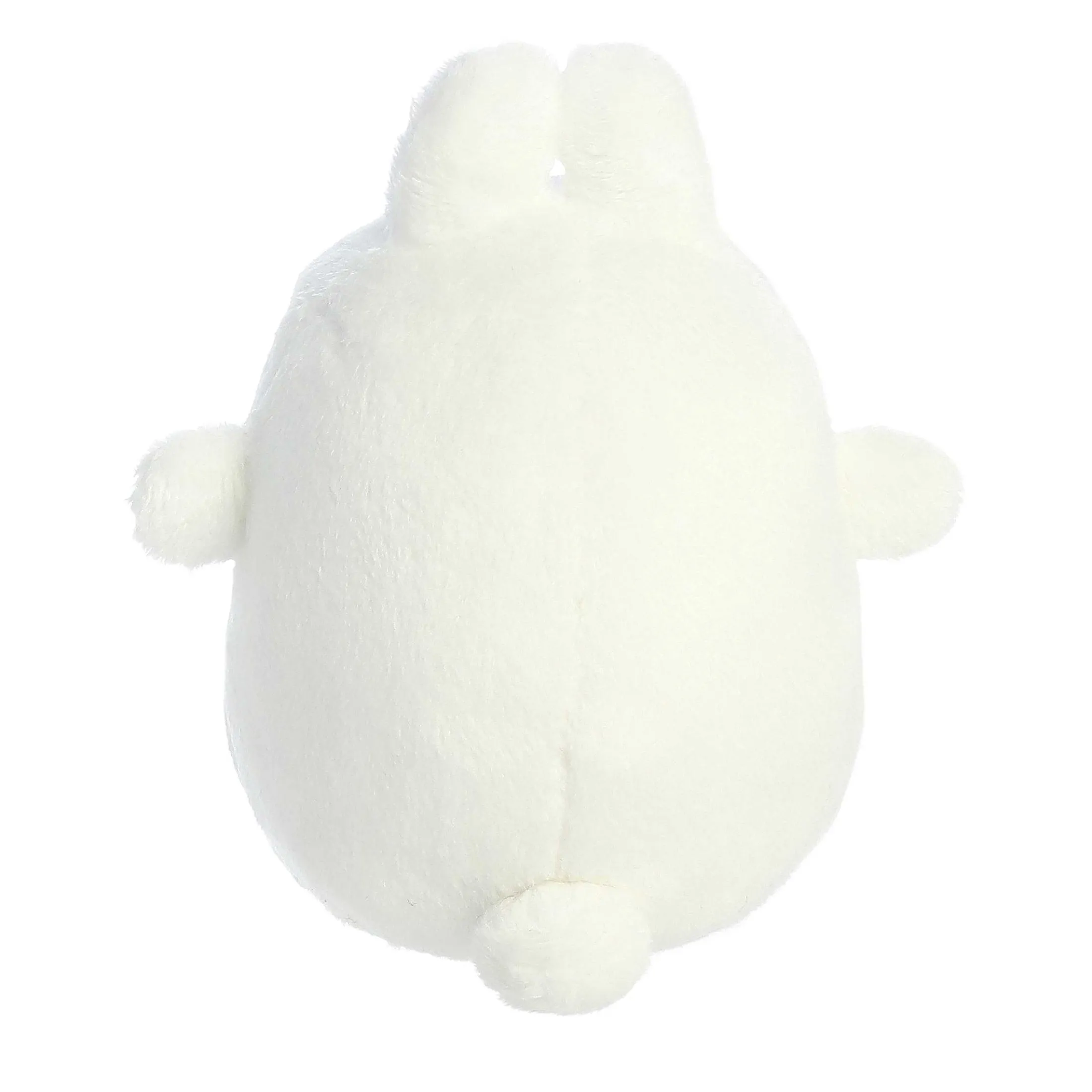 Aurora® - Molang